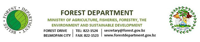 ForestDepartment